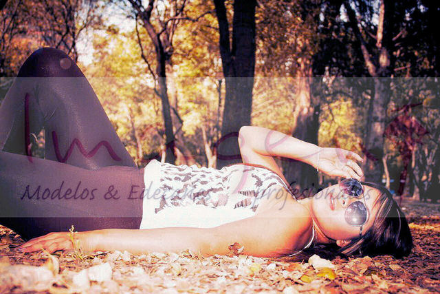 ARIADNE ISLAS D.F.